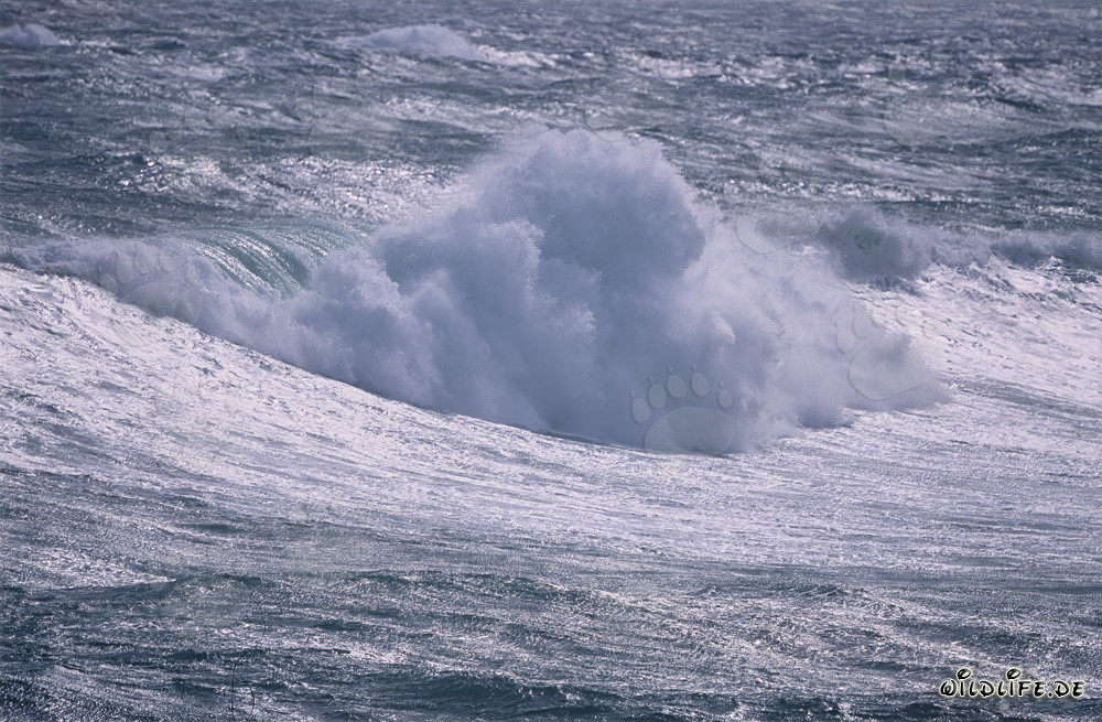 Tormenta en el Atlántico Sur