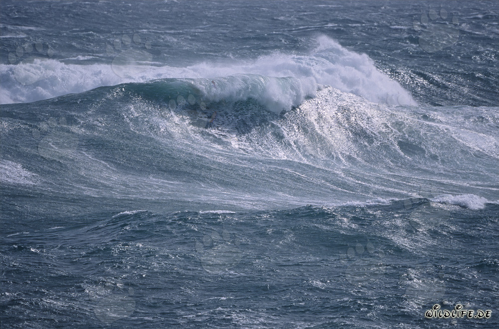 Massive Storm at the Southern Tip of Africa