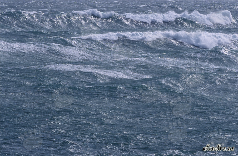 Mar embravecido en el Cabo Agulhas, Sudáfrica