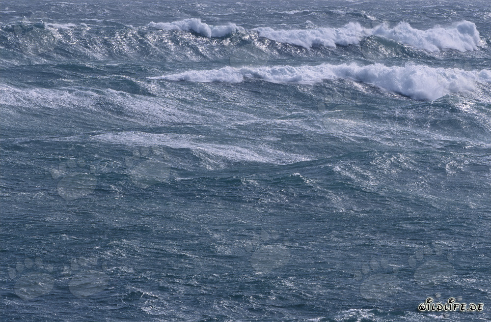 Mare in tempesta al Capo Agulhas, Sudafrica