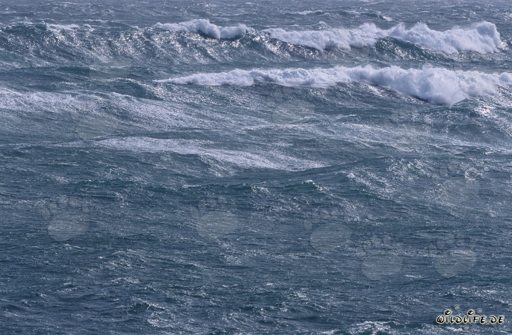 Stormy Sea at Cape Agulhas, South Africa