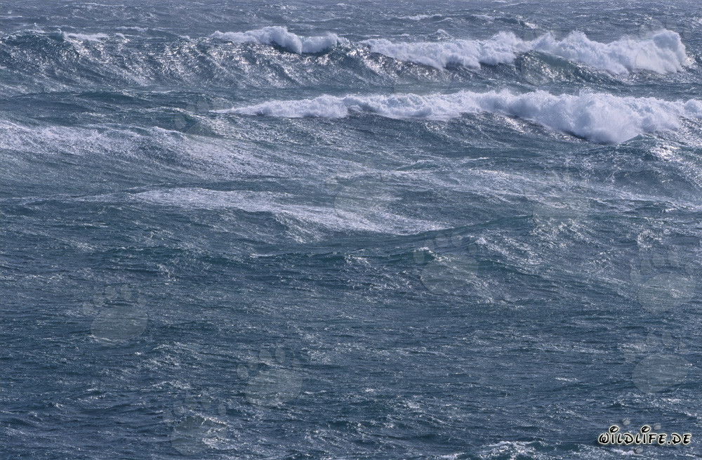 Stürmische See am Kap Agulhas, Südafrika