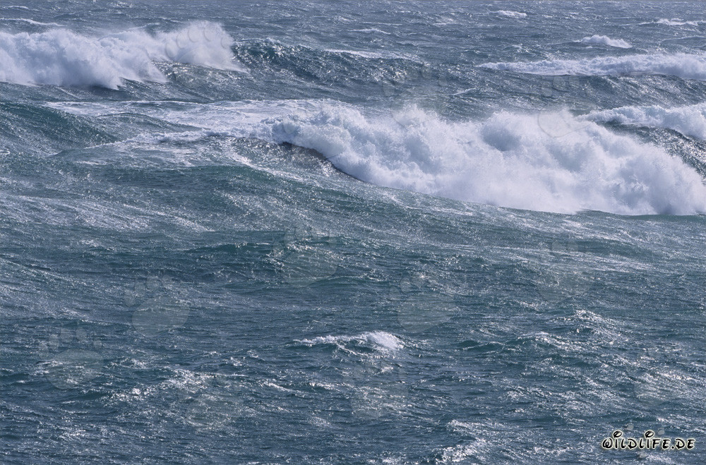Atlántico Sur agitado - Tormenta y olas en el extremo sur de África