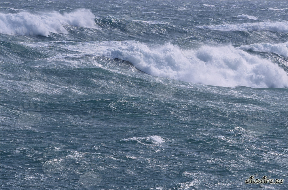 Atlantico Sud agitato - Tempesta e onde alla punta sud dell'Africa