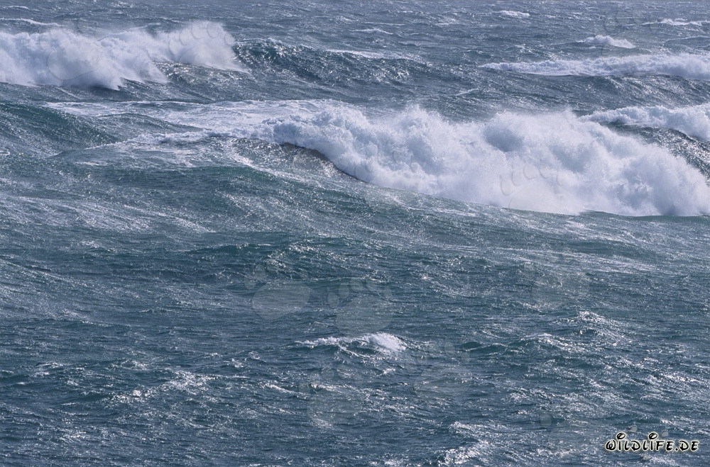 Restless South Atlantic - Storm and Waves at the Southern Tip of Africa