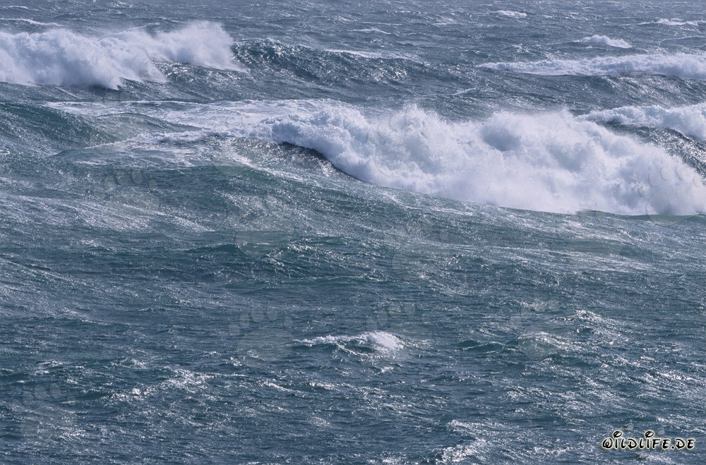 Atlantique Sud agité - Tempête et vagues au bout sud de l'Afrique