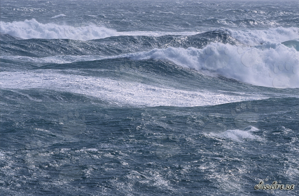Mer agitée à la pointe sud de l'Afrique