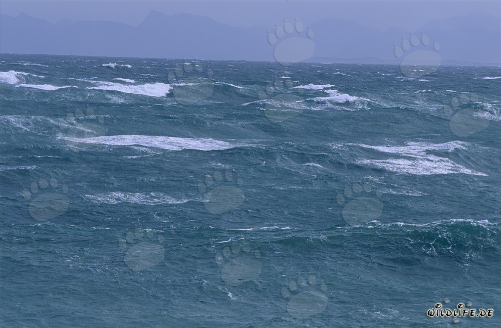 Mare in tempesta al Capo Agulhas, Sudafrica