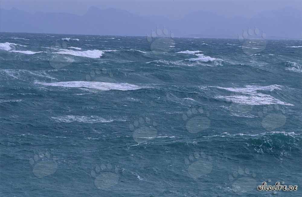 Mer agitée au Cap Agulhas, Afrique du Sud