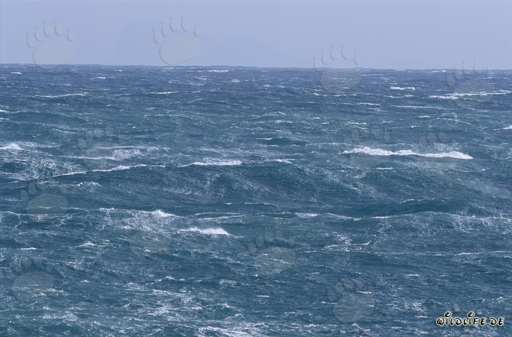 Mare in tempesta alla punta sud dell'Africa