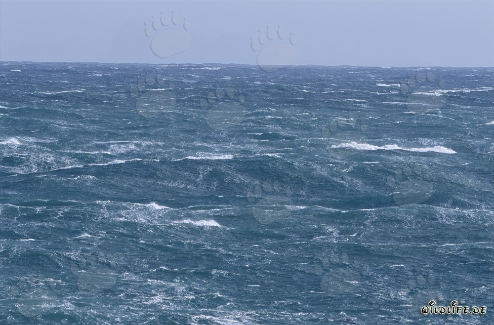 Mer agitée au cap Sud de l'Afrique