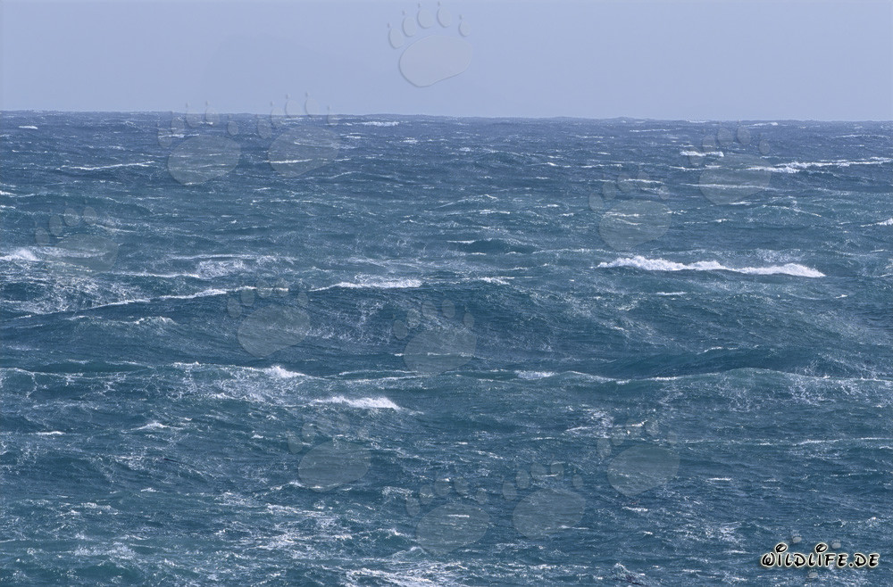 Stormy Seas at the Southern Tip of Africa