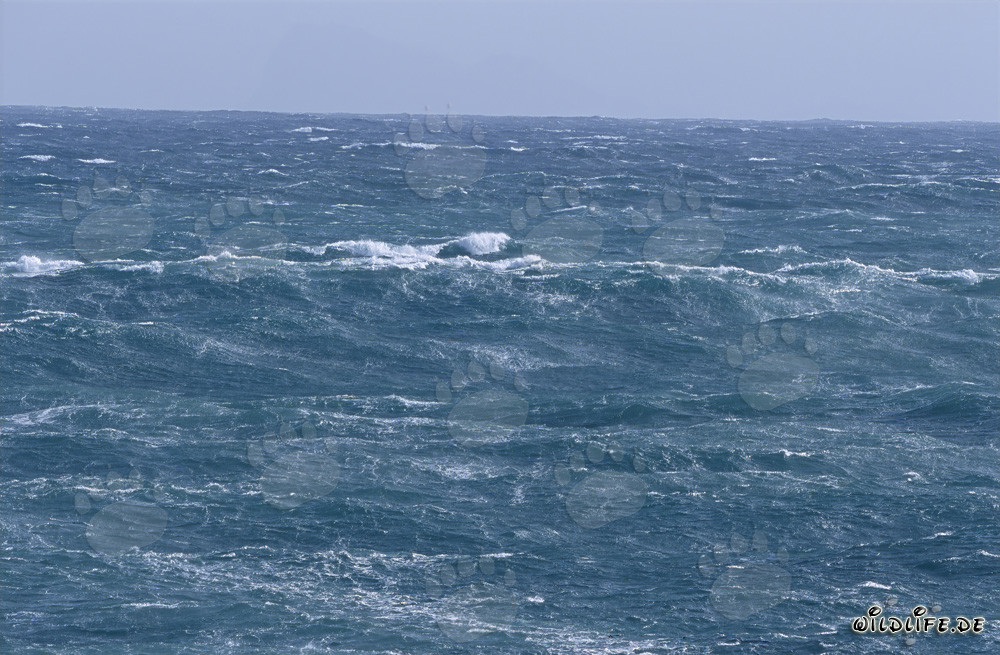 Storm above the sea surface at the southern tip of Africa