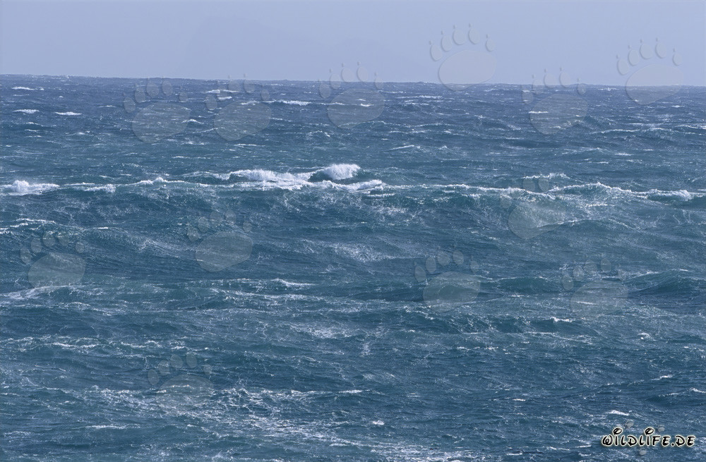 Tempesta sulla superficie del mare alla punta meridionale dell'Africa