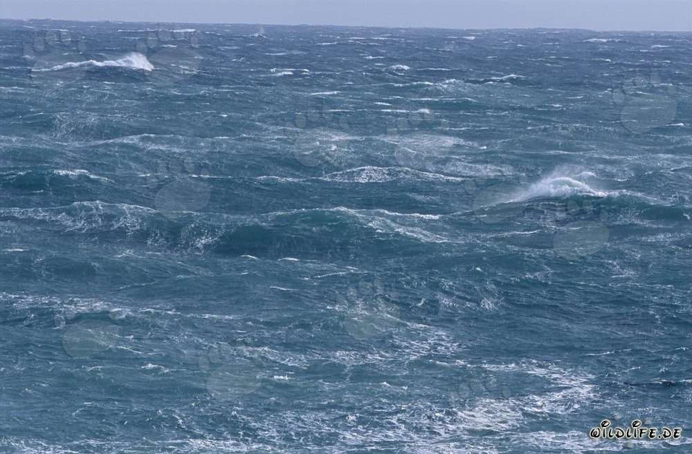 Tempeste e onde selvagge alla punta sud dell'Africa