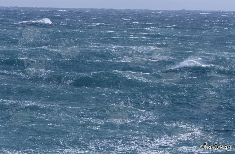 Storm and wild waves at the southern tip of Africa