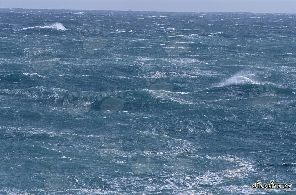 Sturm und wilde Wellen an der Südspitze Afrikas