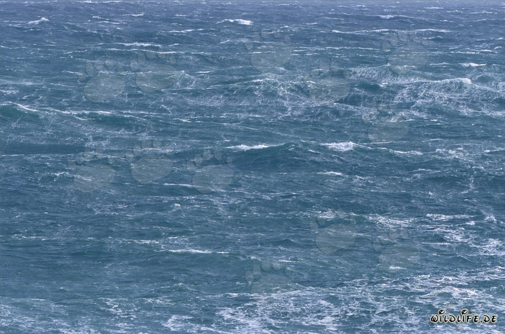 Mare in tempesta al Capo Agulhas