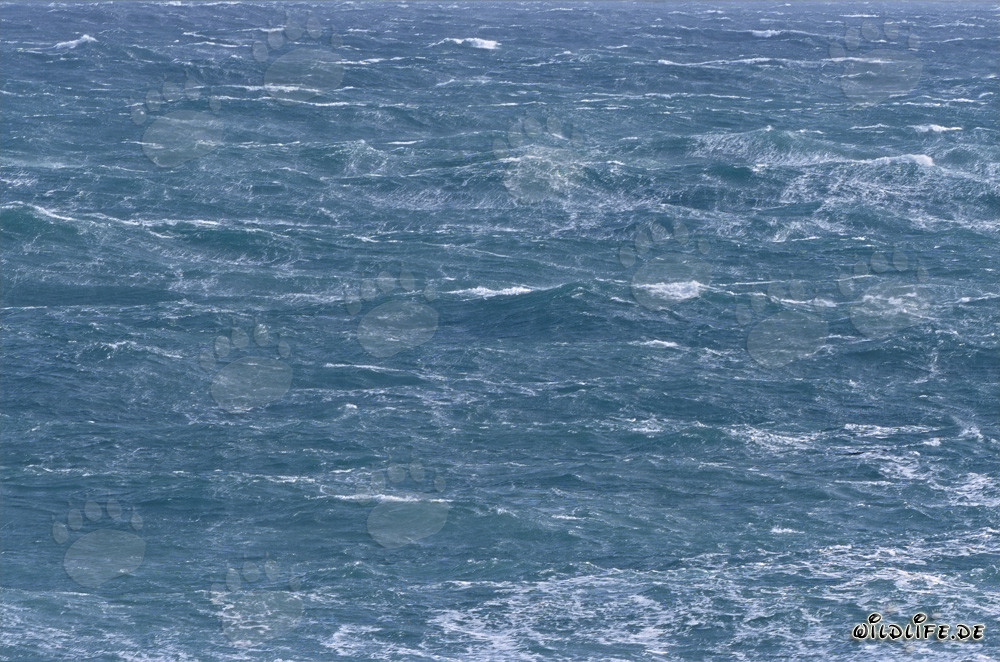 Stormy Sea at Cape Agulhas