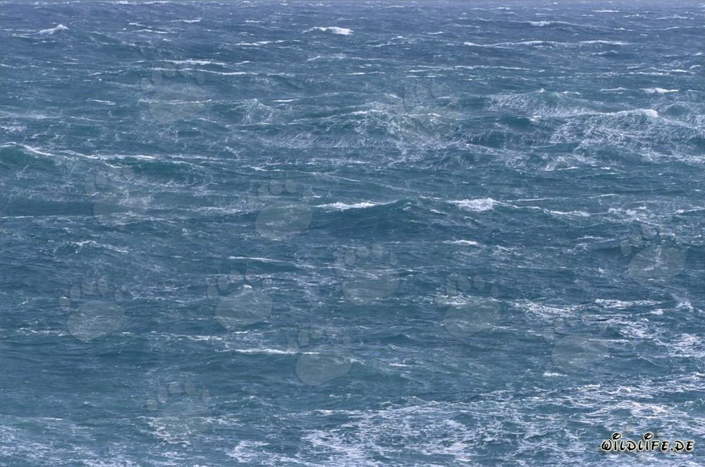 Stürmische See am Kap Agulhas