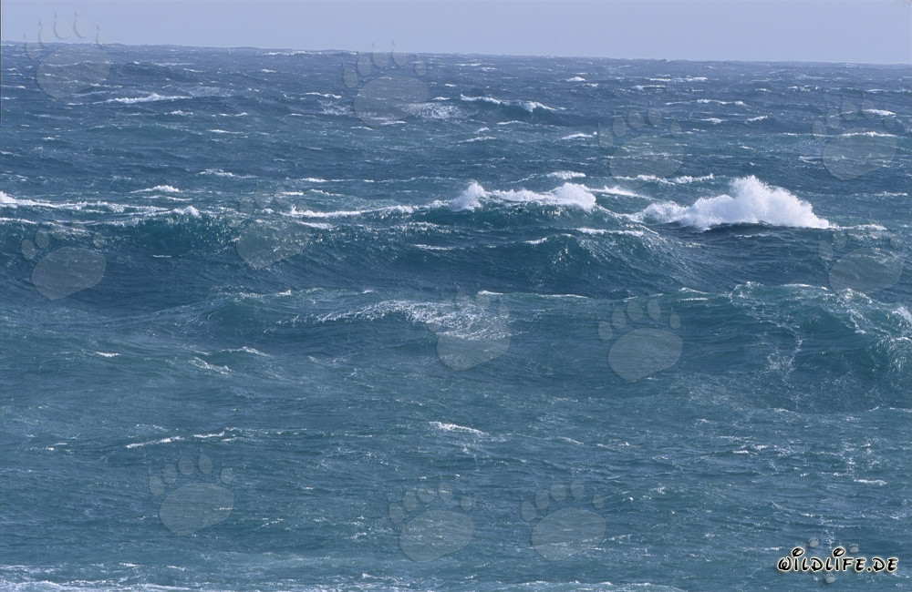 Sturm an der Südspitze Afrikas