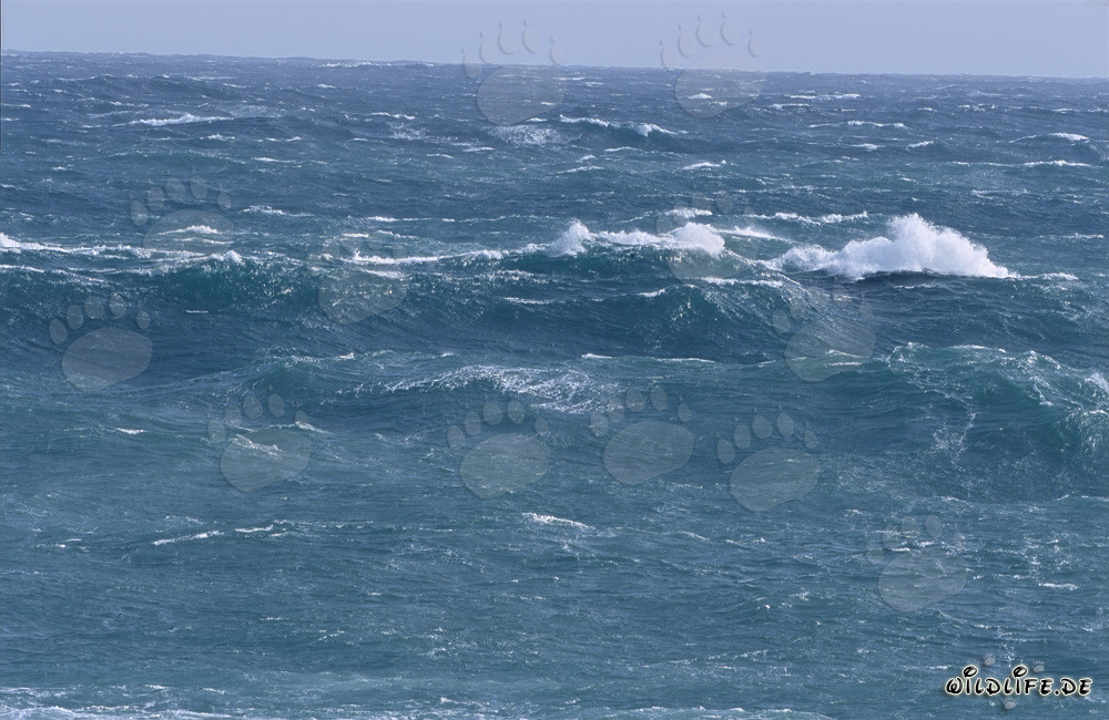 Tempesta alla punta meridionale dell'Africa