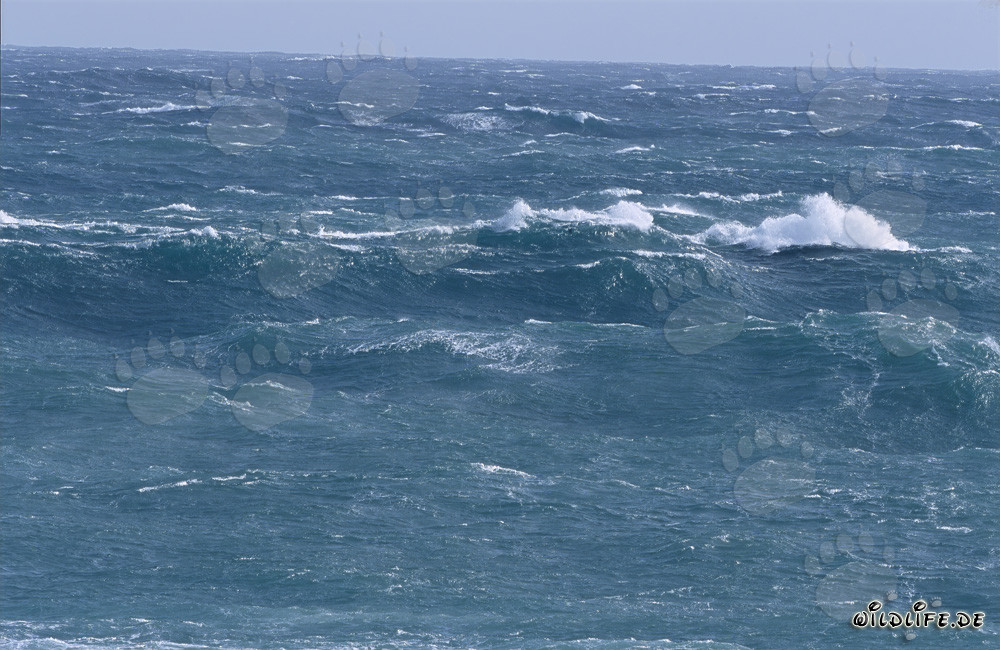 Tempête à la pointe sud de l'Afrique