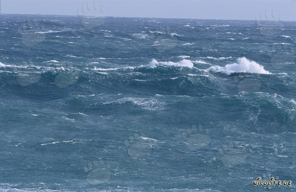 Tormenta en el cabo sur de África