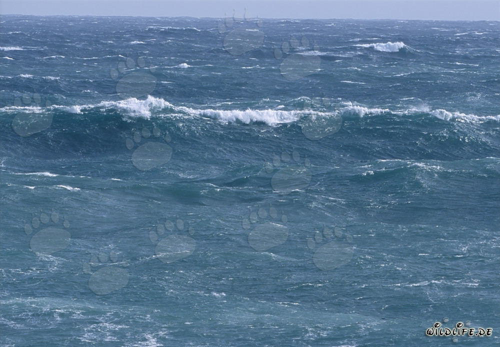 Stormy South Atlantic off Cape Agulhas in South Africa