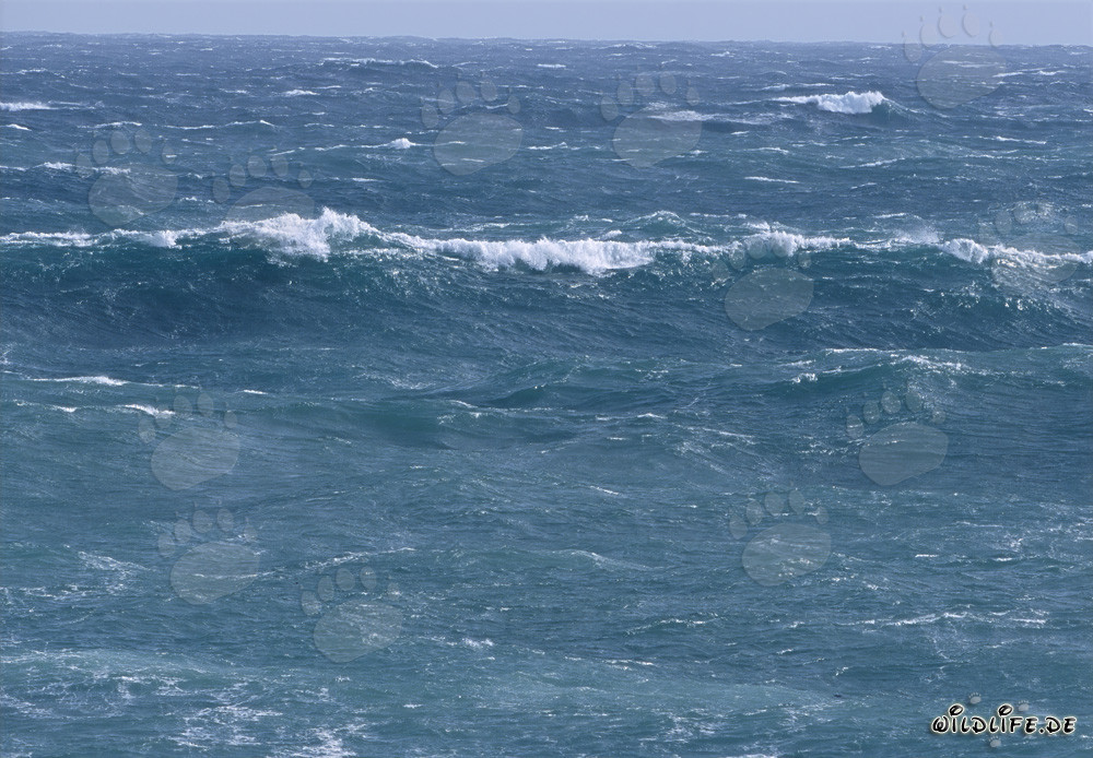 Tempesta nel Sud Atlantico di fronte al Capo Agulhas in Sudafrica
