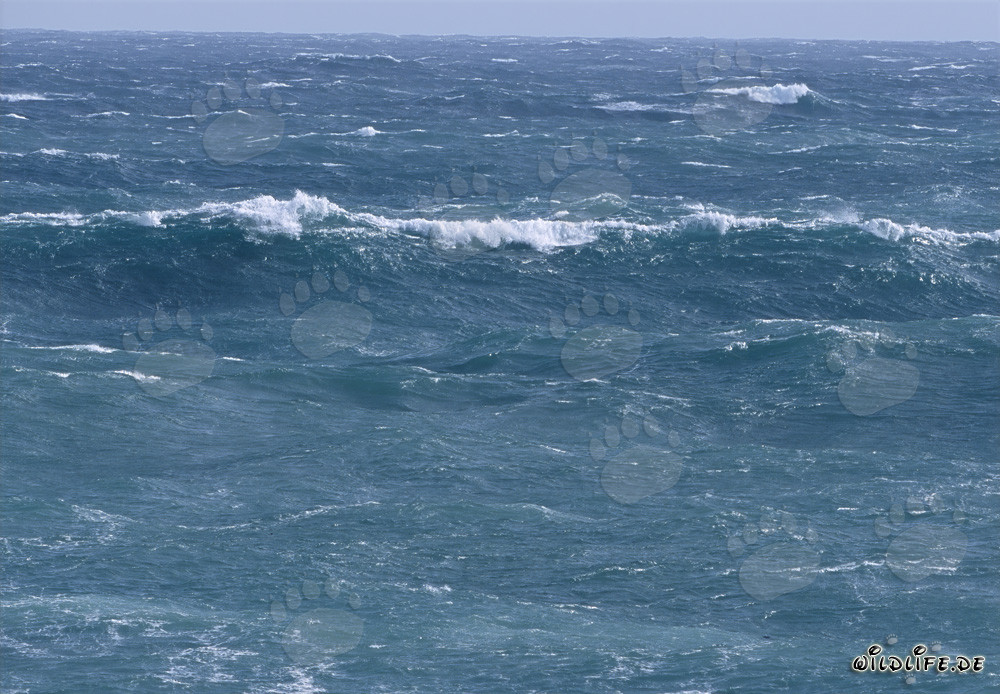 Tempête dans le sud de l'Atlantique près du Cap Agulhas en Afrique du Sud