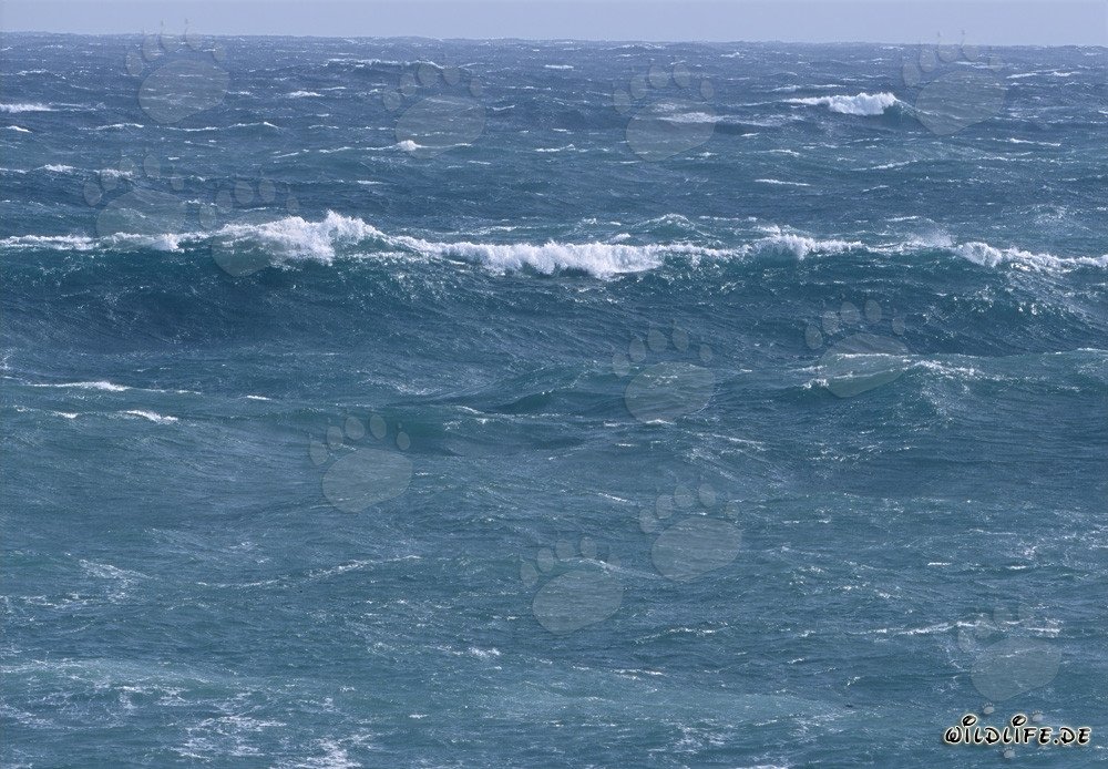 Tormentoso Atlántico Sur frente al Cabo Agulhas en Sudáfrica