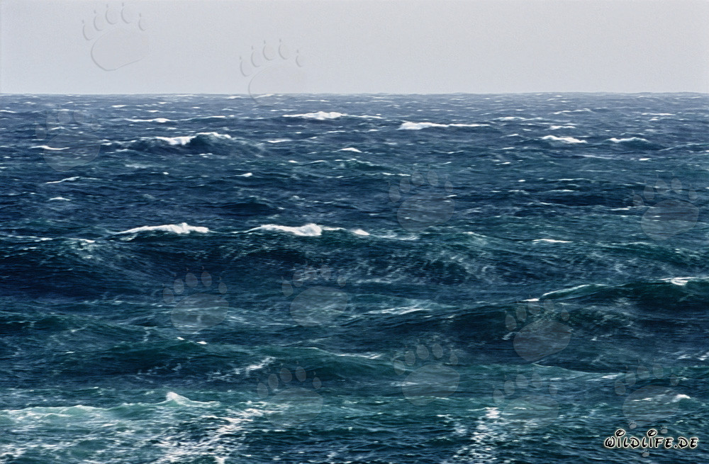 Stormy scenery at the southern tip of Africa
