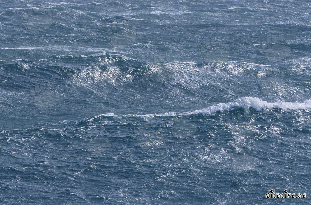 Mer agitée au Cap Agulhas, Afrique du Sud