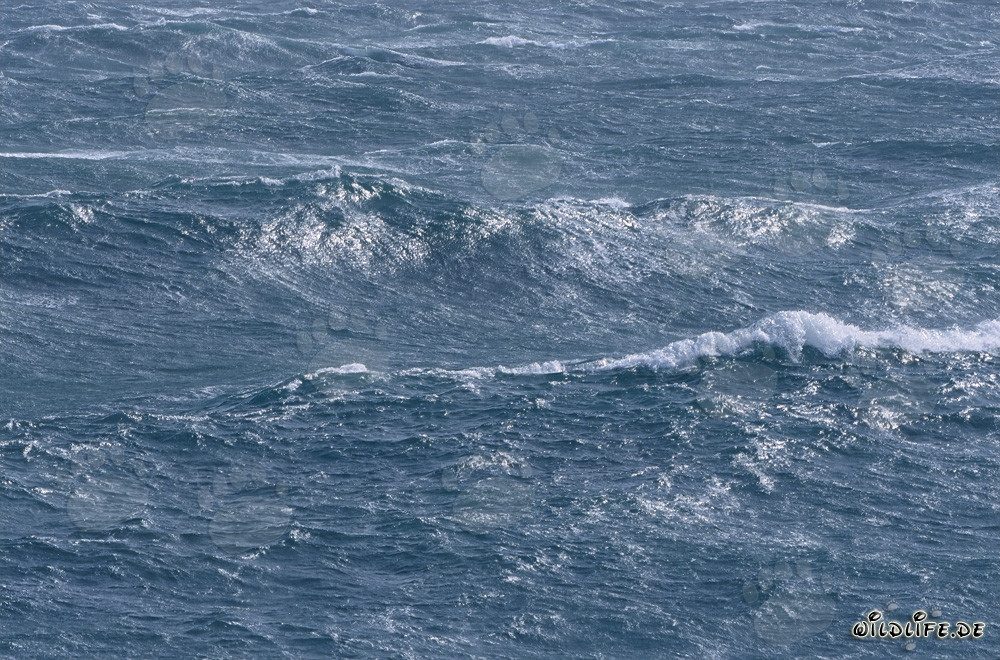 Strongly Sea Surface Motion at Cape Agulhas, South Africa