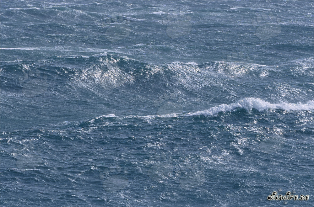 Superficie marina agitada en el Cabo Agulhas, Sudáfrica