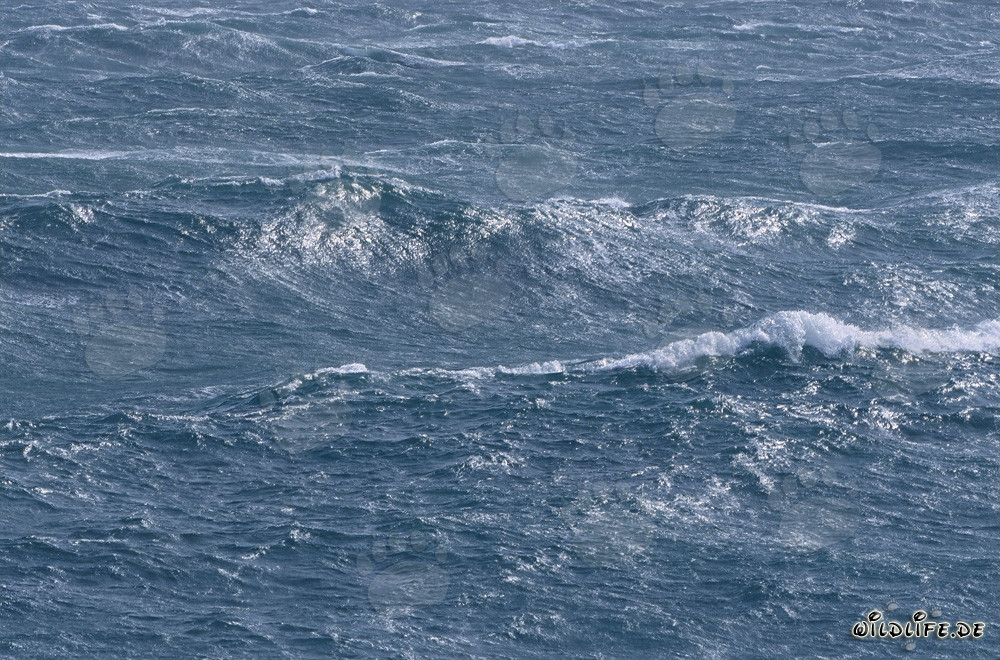 Superficie marina agitata al Capo Agulhas, Sudafrica