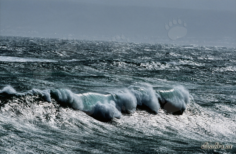 Mar agitado en el Cabo Agulhas, Sudáfrica