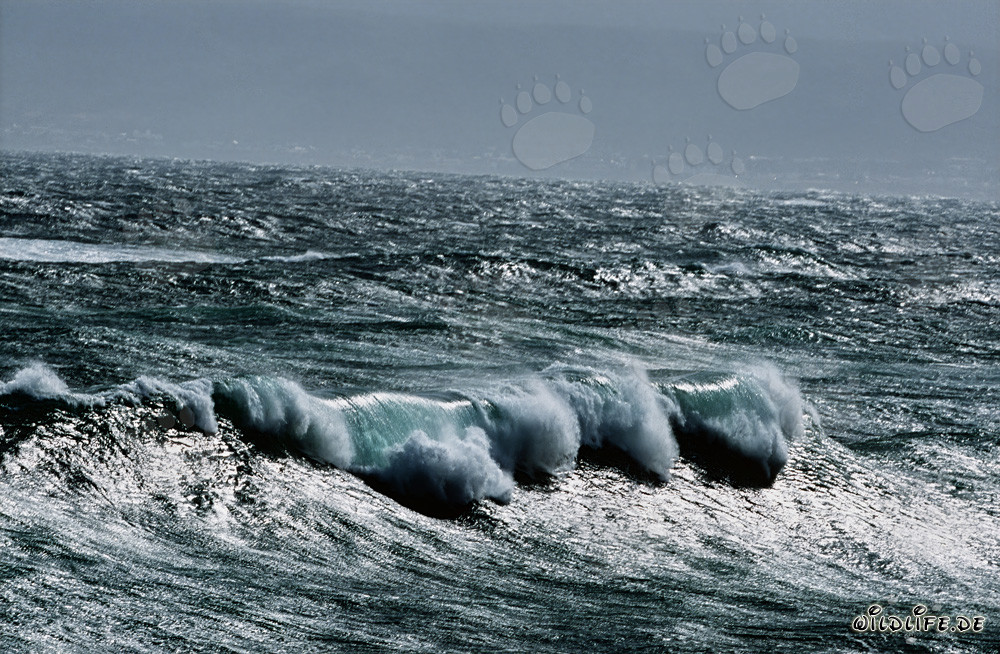 Mare agitato al Capo Agulhas, Sudafrica