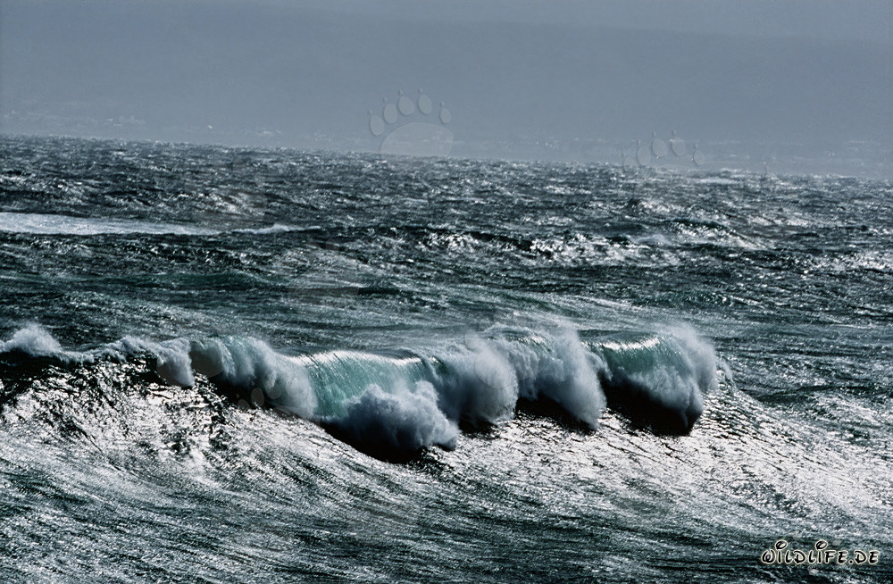 Mer agitée au Cap Agulhas, Afrique du Sud