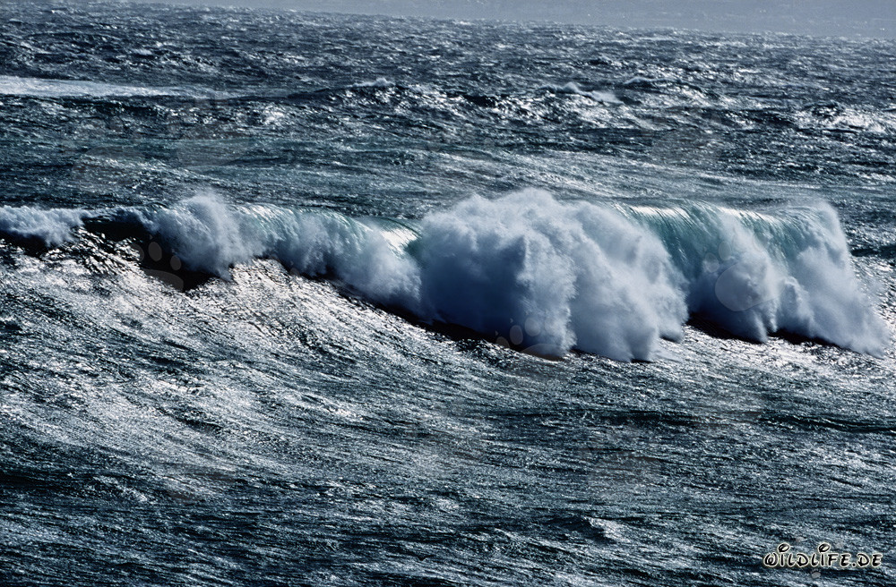 Tempesta violenta con onde alte alla punta sud dell'Africa nell'Atlantico del Sud