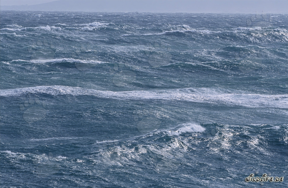 Mar embravecido en el Cabo Agulhas