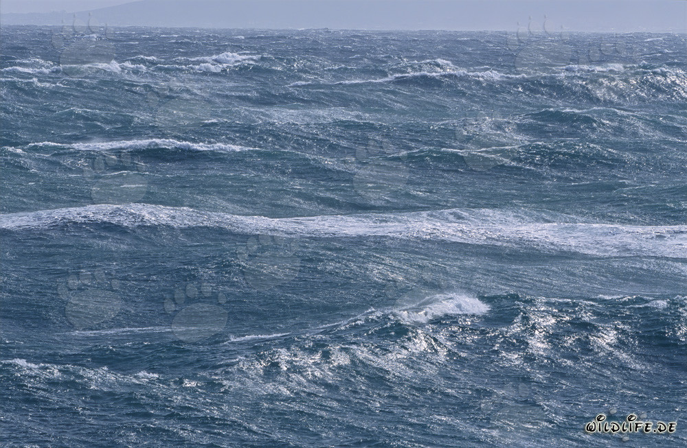 Mare tempestoso al Capo Agulhas