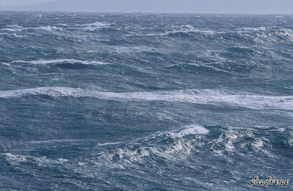 Mer déchaînée au Cap Agulhas