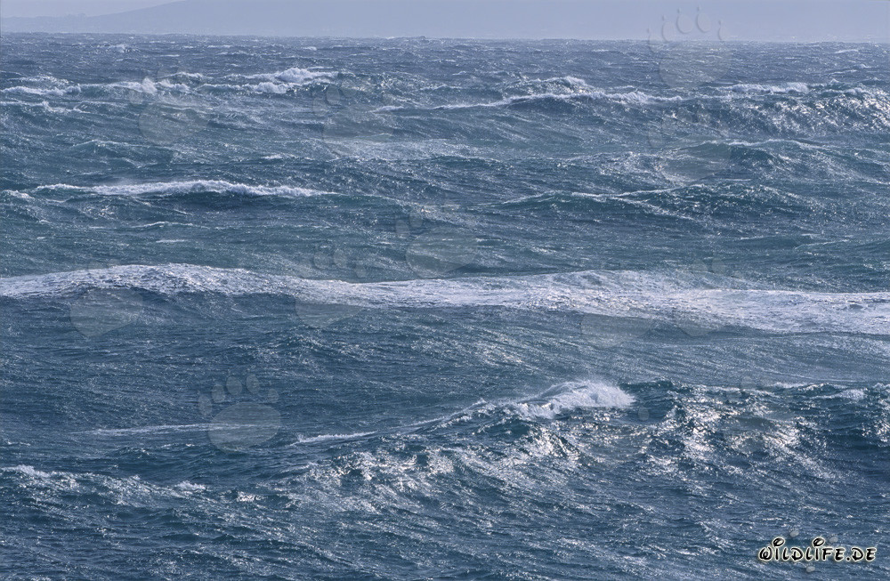 Sturmgepeitschte See am Kap Agulhas