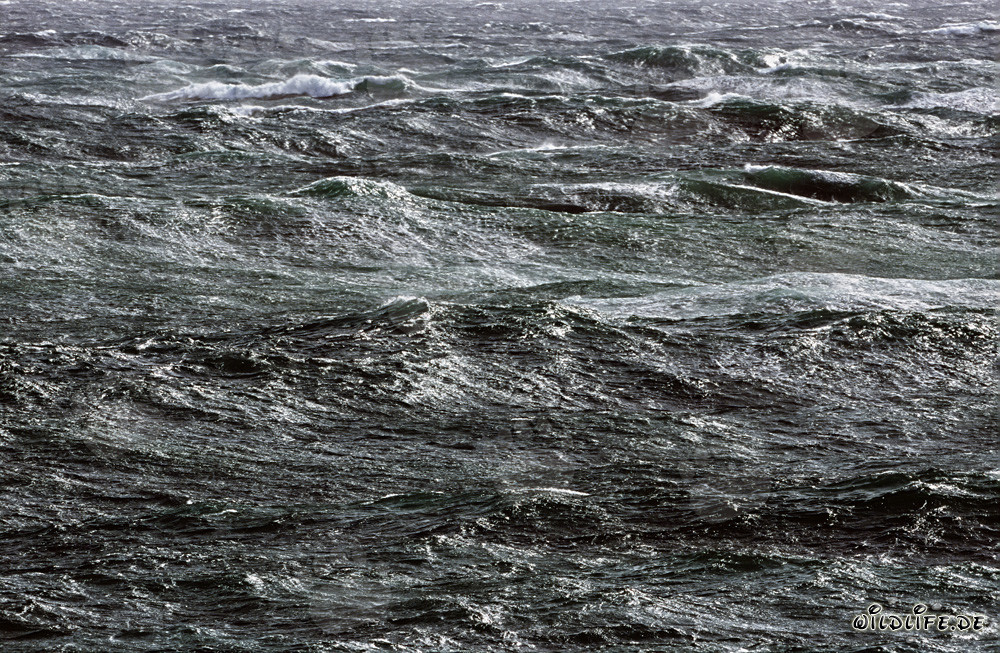 Mar tempestuoso en el Cabo de las Agujas en el sur de África