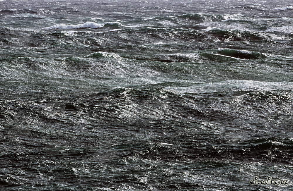Stormy Sea on the Southern Tip of Africa