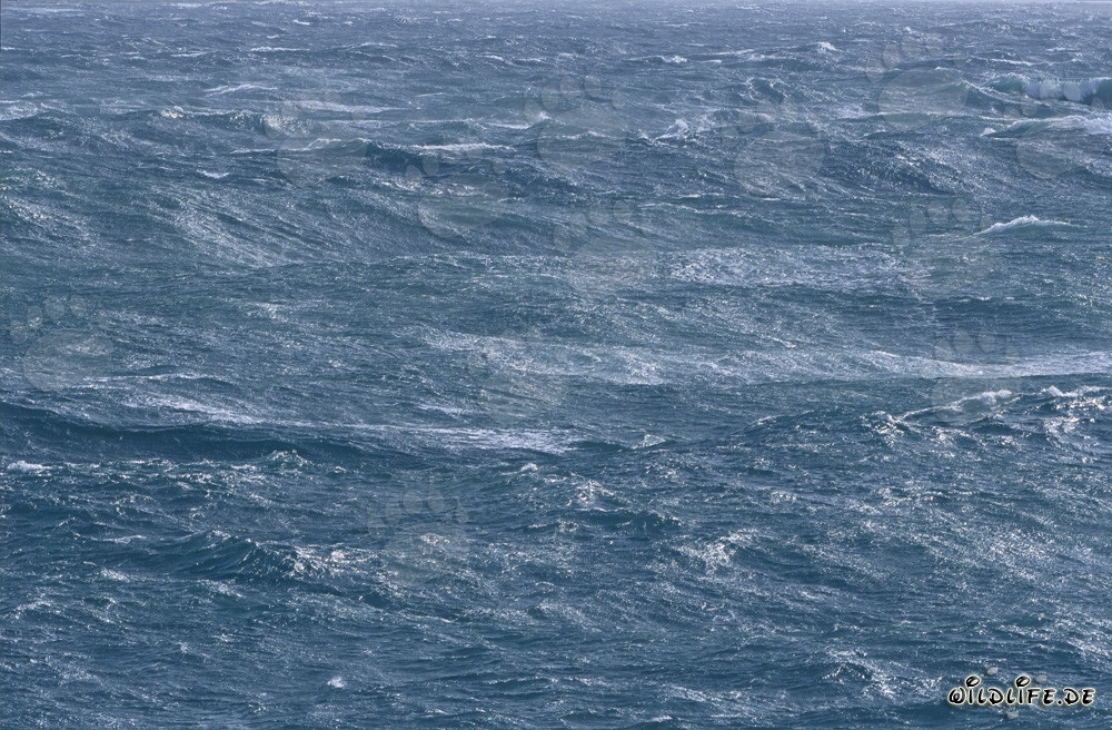 Mare in tempesta nel Sud Atlantico