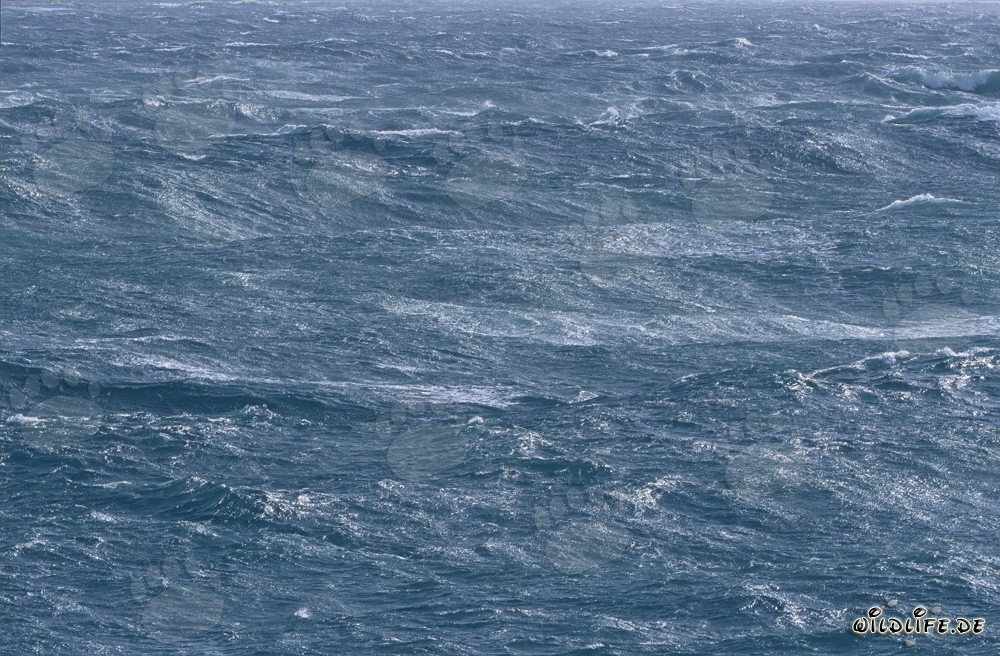 Mer agitée dans le sud de l'Atlantique