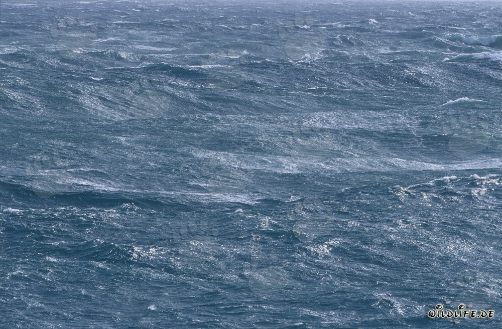 Stormy seas in the South Atlantic